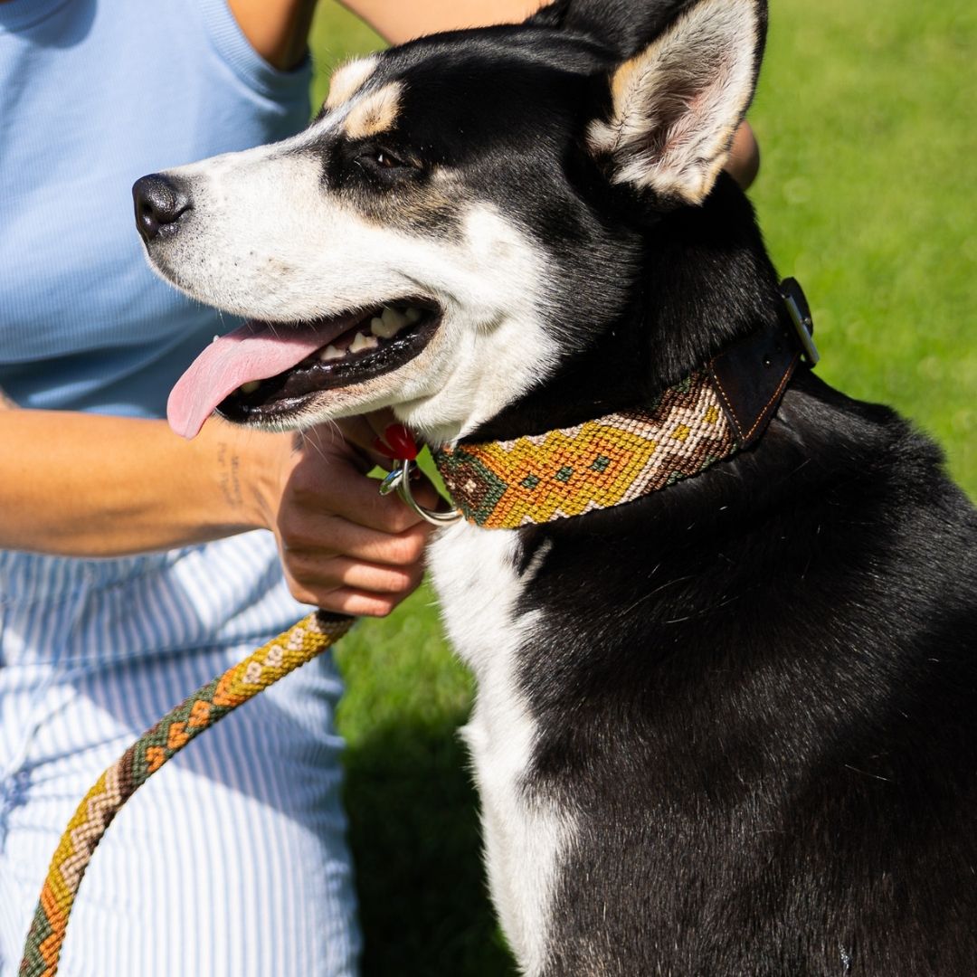Esencia Salvaje Handmade Dog Walking Set