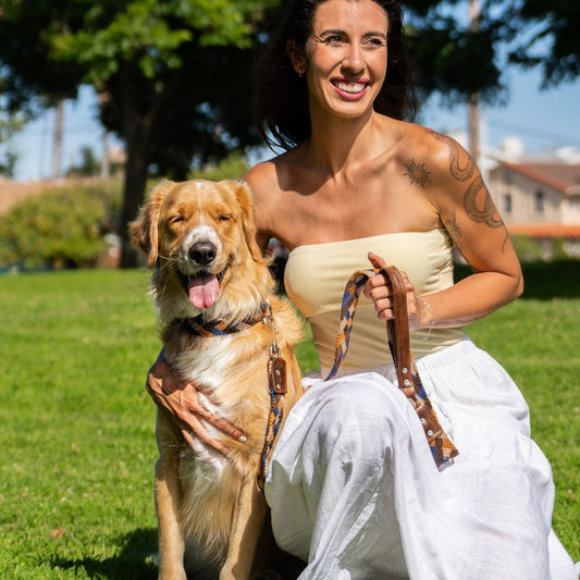 Eterno Arcano Dog Walk Set