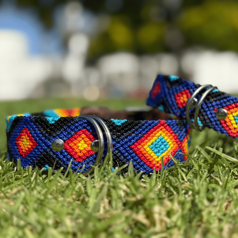Euforia Gaia Handcrafted Dog Collars