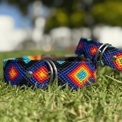 Euforia Gaia Handcrafted Dog Collars