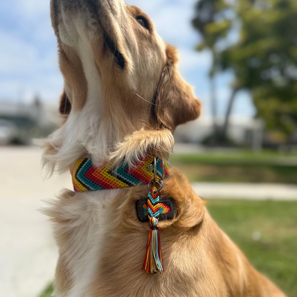 Handcrafted Decorative Charm for Dog Collar
