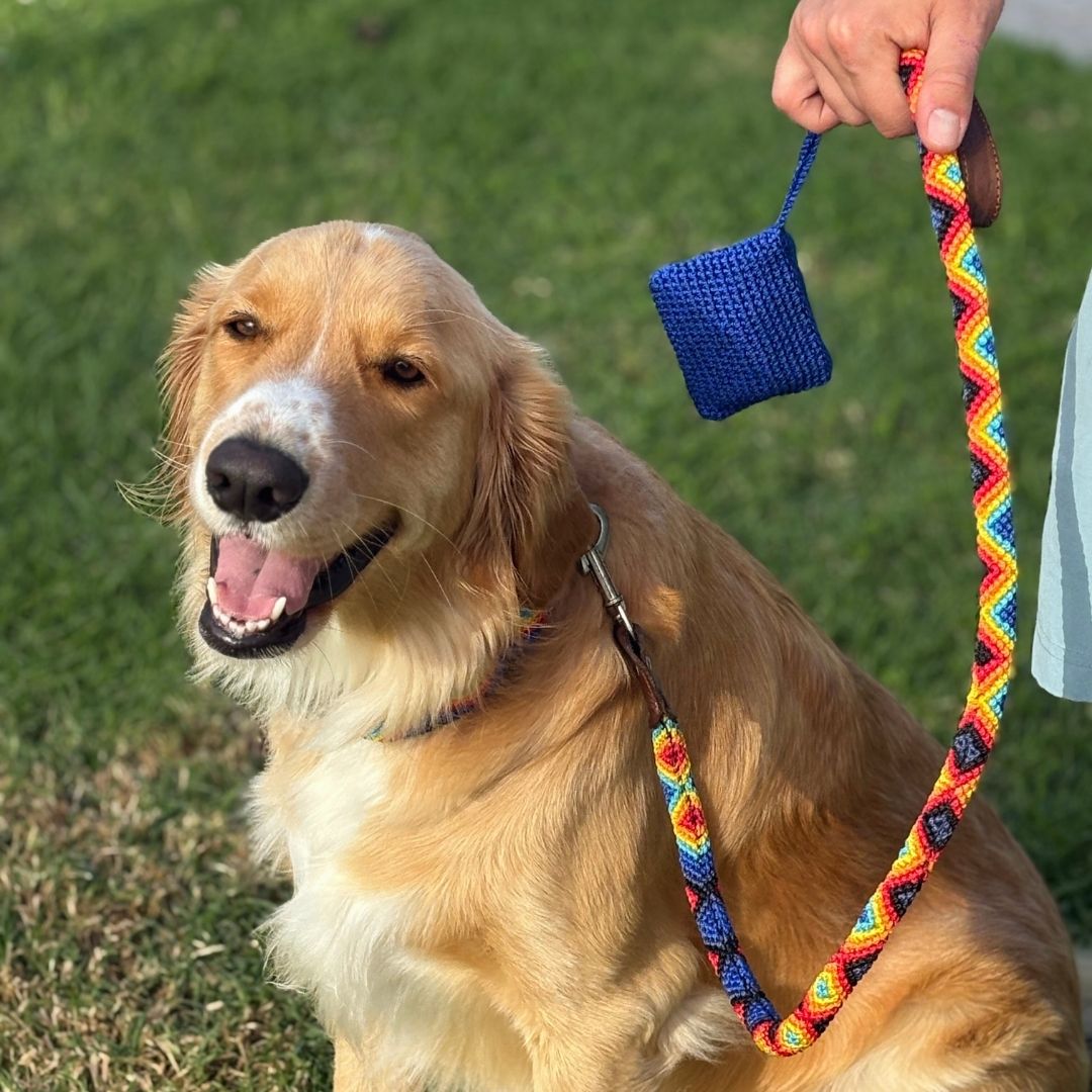 Handcrafted Dog Leash Collar and Waste Bag Holder Set