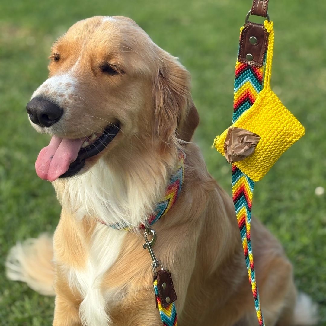 Handmade Dog Collar and Dog Leash Set