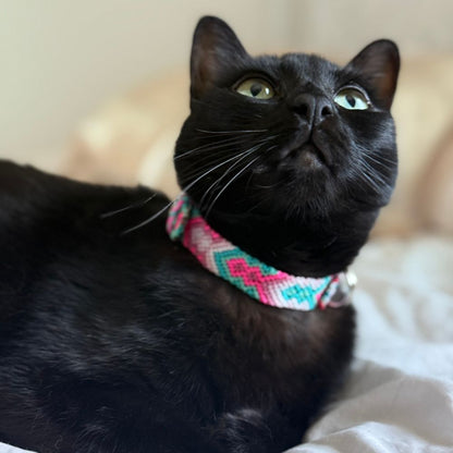 Handmade Girl Cat Collar Made in Mexico