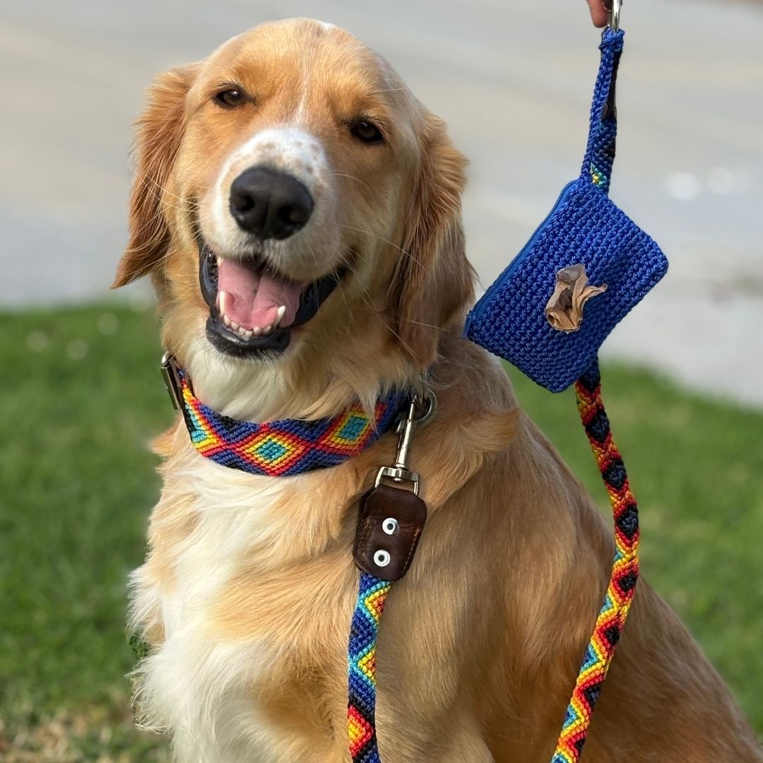 Handwoven Dog Leash Collar and Waste Bag Holder Set