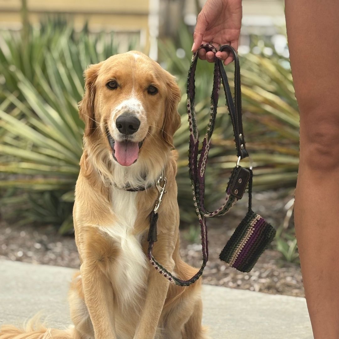Instinto Feroz Handcrafted Dog Walking Set