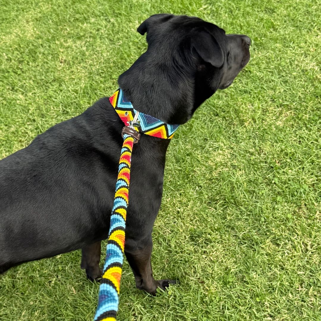 Mayan Design Handmade Dog Collar and Leash
