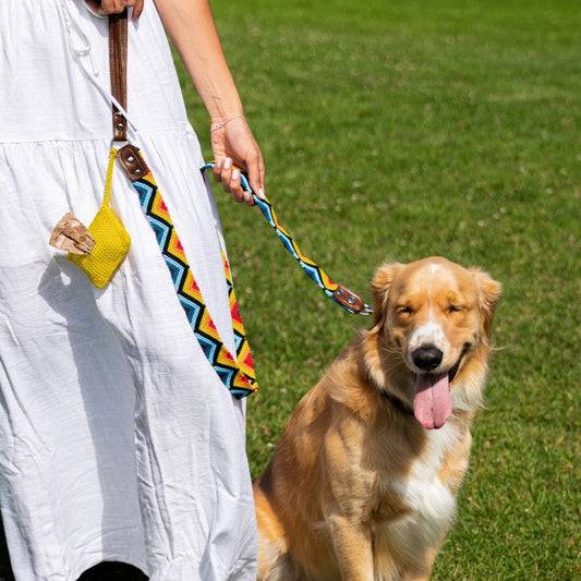Mayan Waving Handcrafted Dog Collar and Leash Set