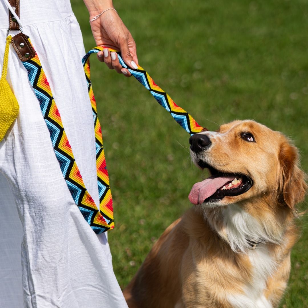 Mexican Waving Dog Collar and Leash Set