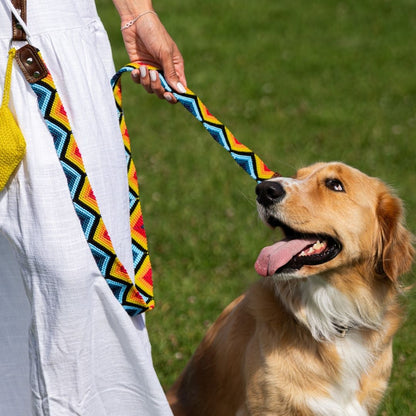 Mexican Waving Dog Collar and Leash Set