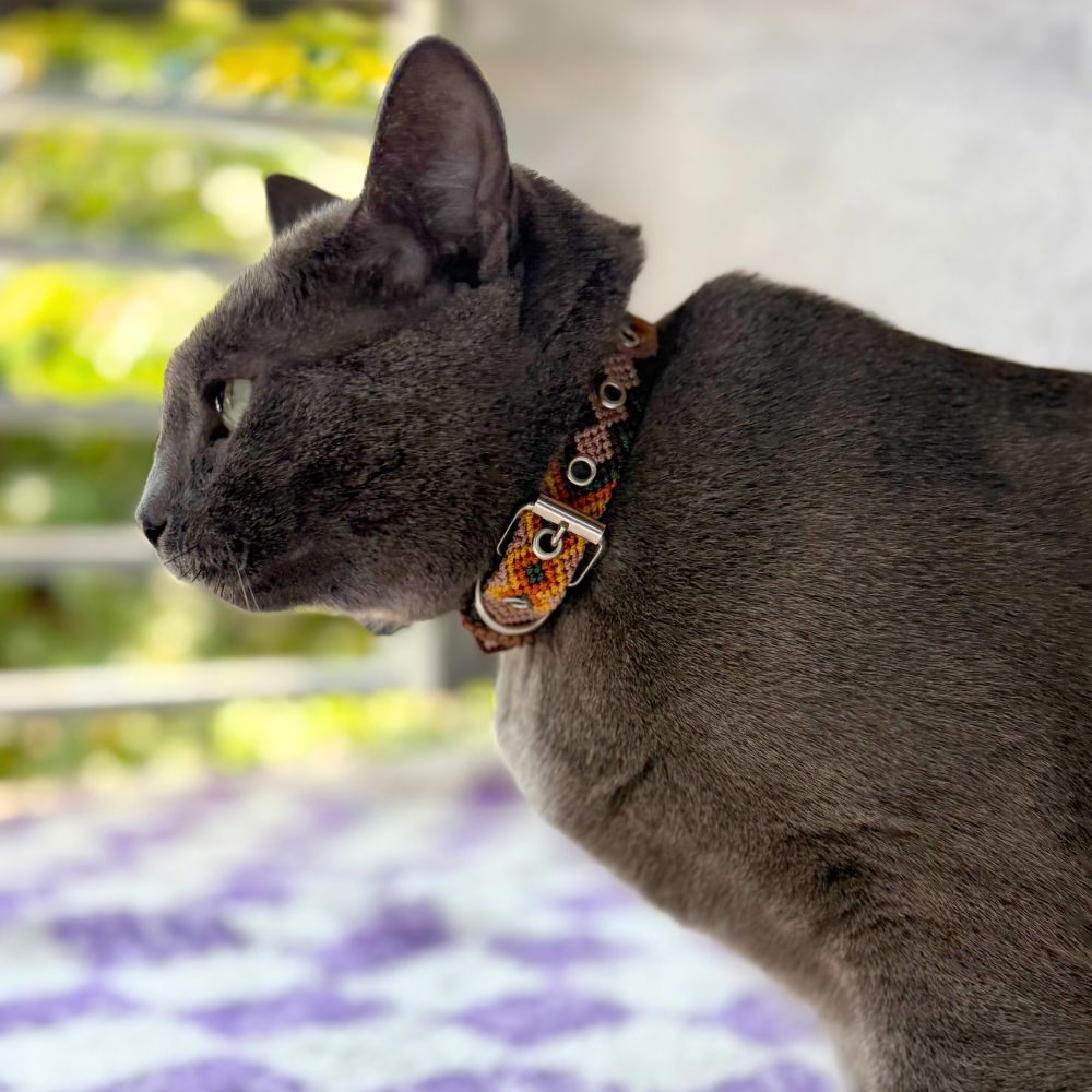 Neutral Cat Collar Handmade in Mexico