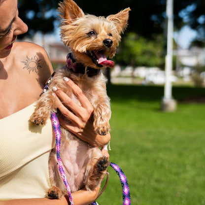 Pink and Purple Handcrafted Dog Collar and Leash Set