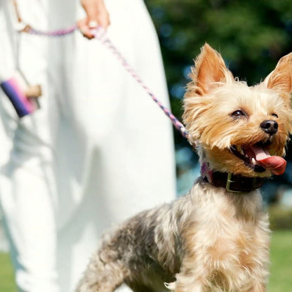 Pink and Purple Handcrafted Dog Walking Set