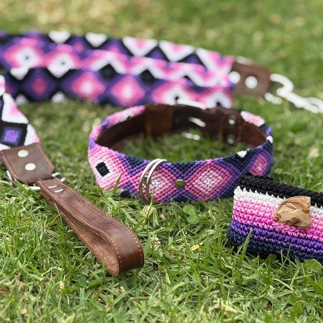 Pink and Purple Handwoven Dog Collar Leash and Poop Bag Holder Set