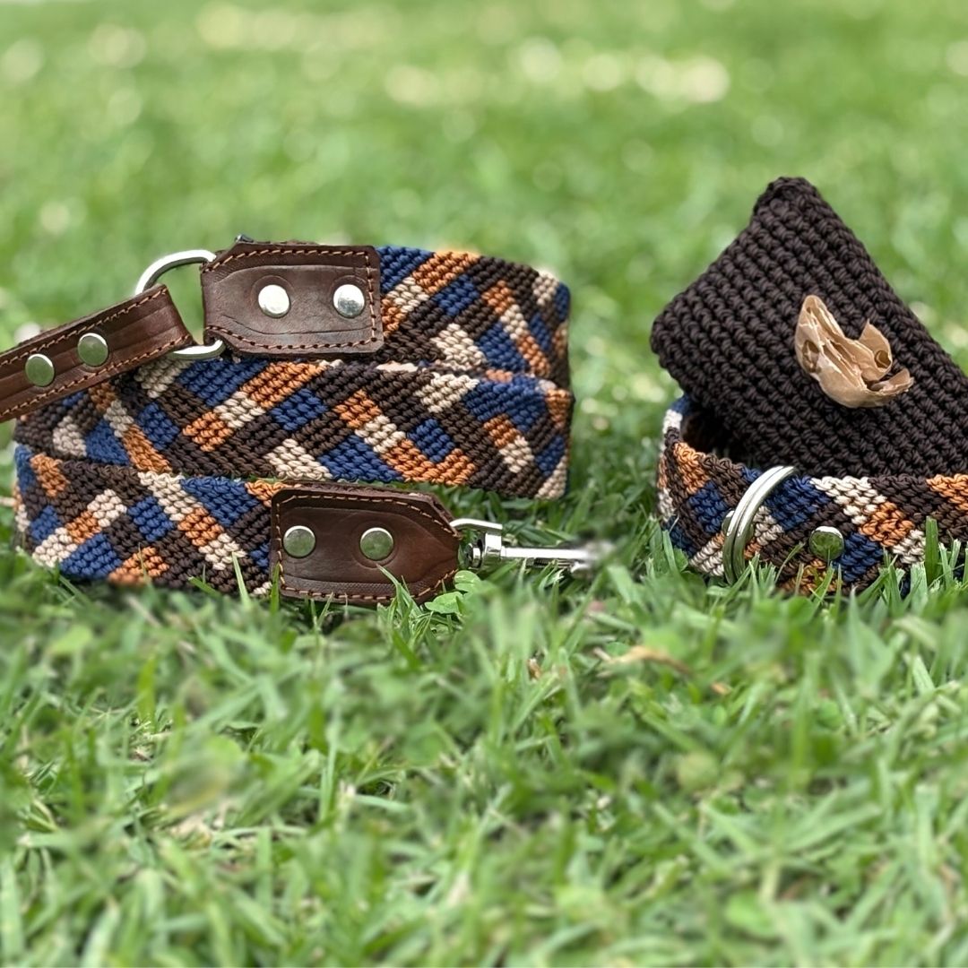 Plaid Dog Collar and Leash Set