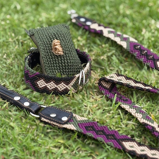 Porple and green handmade dog collar leash and poop bag holder set