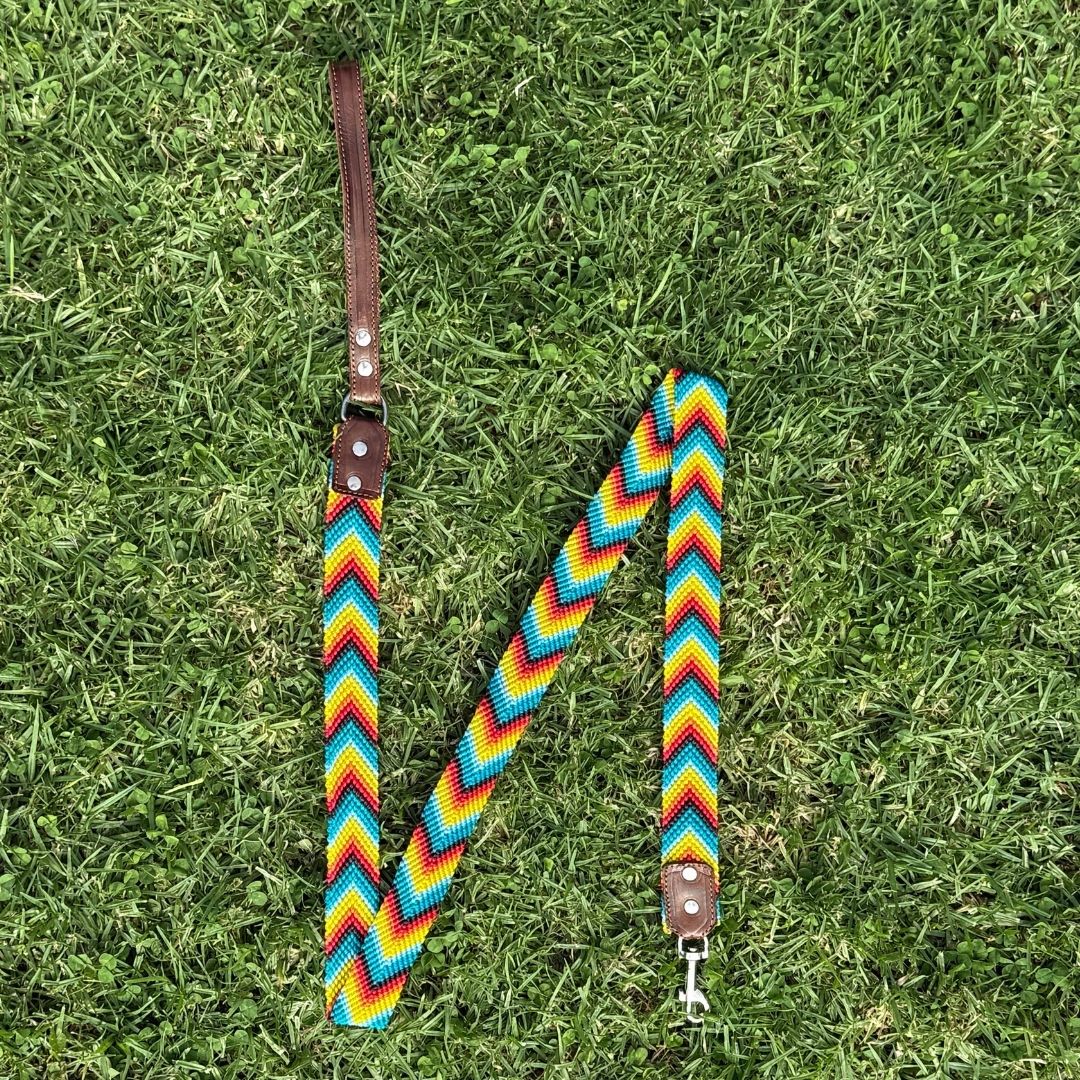 Prisma Intensa Handcrafted Dog Leash Medium Length