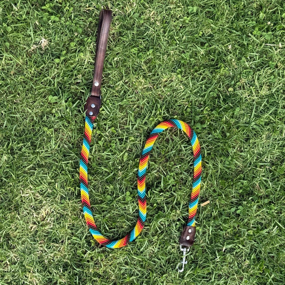 Prisma Intensa Handcrafted Dog Leash Round