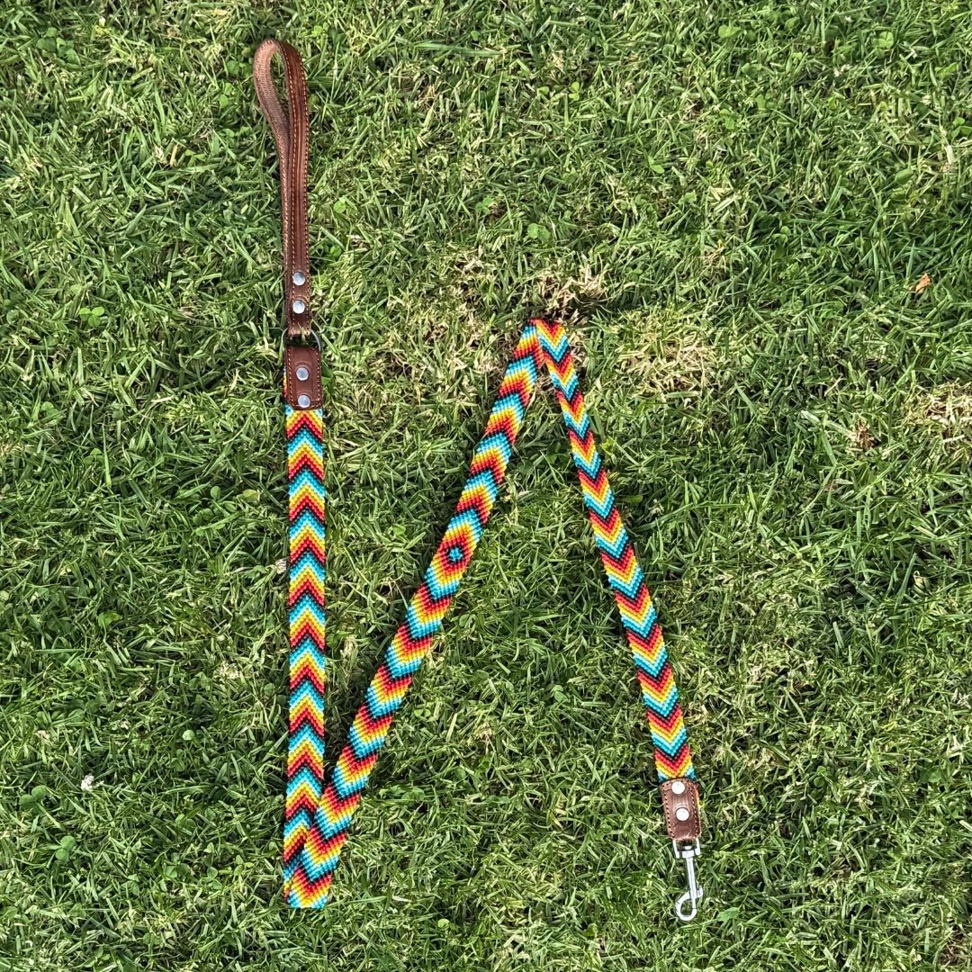 Prisma Intensa Handcrafted Dog Leash Slim