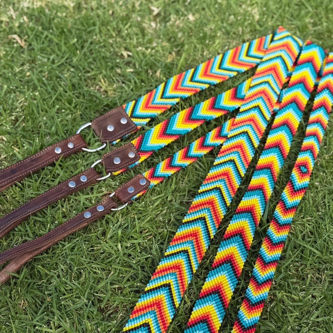 Prisma Intensa Handcrafted Dog Leashes