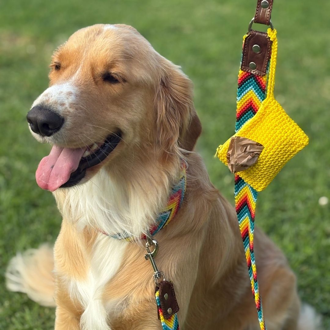 Prisma Intensa Handcrafted Dog Walking Set