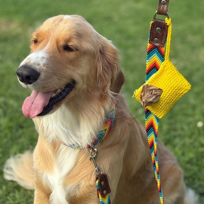 Prisma Intensa Handcrafted Dog Walking Set