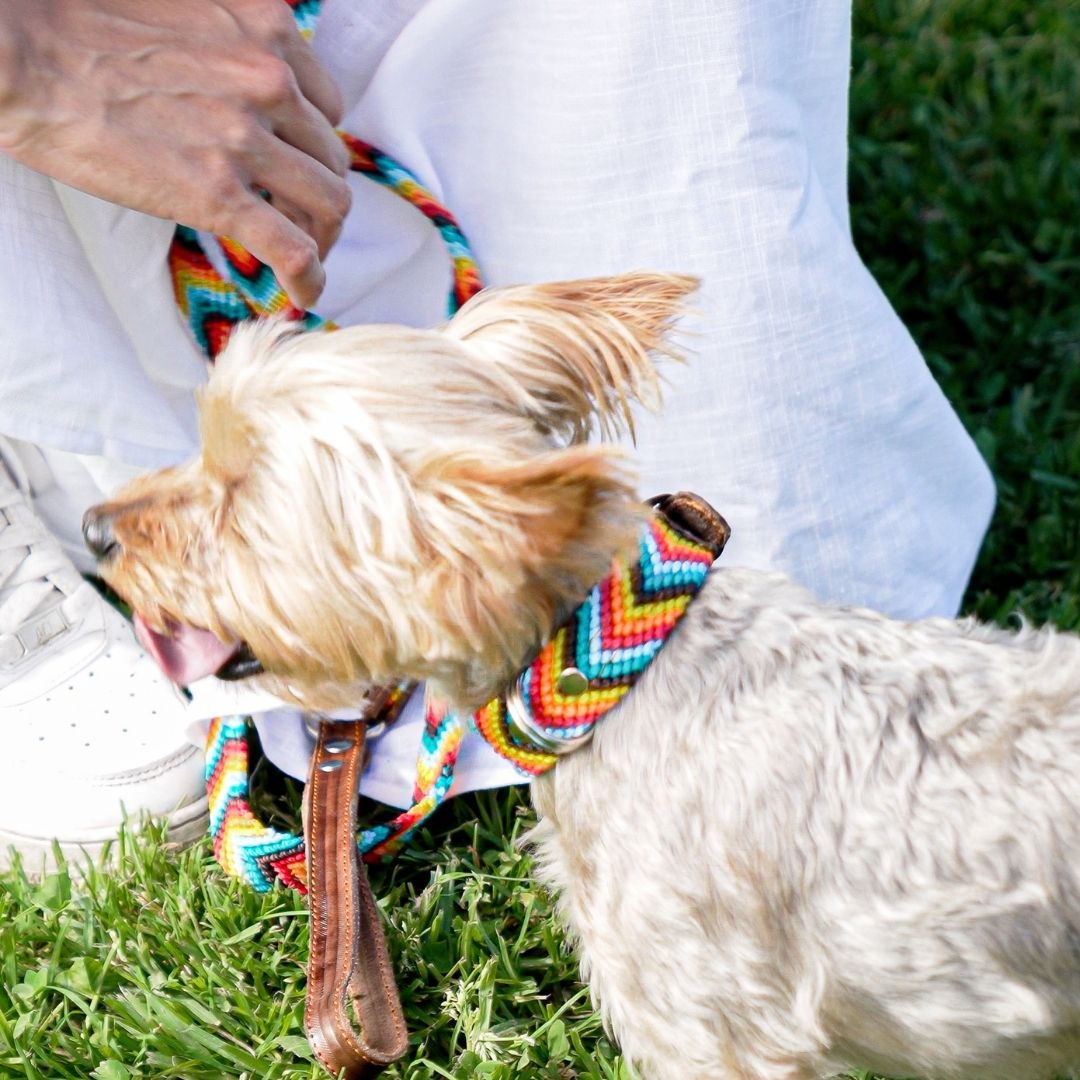 Prisma Intensa Handmade Dog Collar and Dog Leash Set