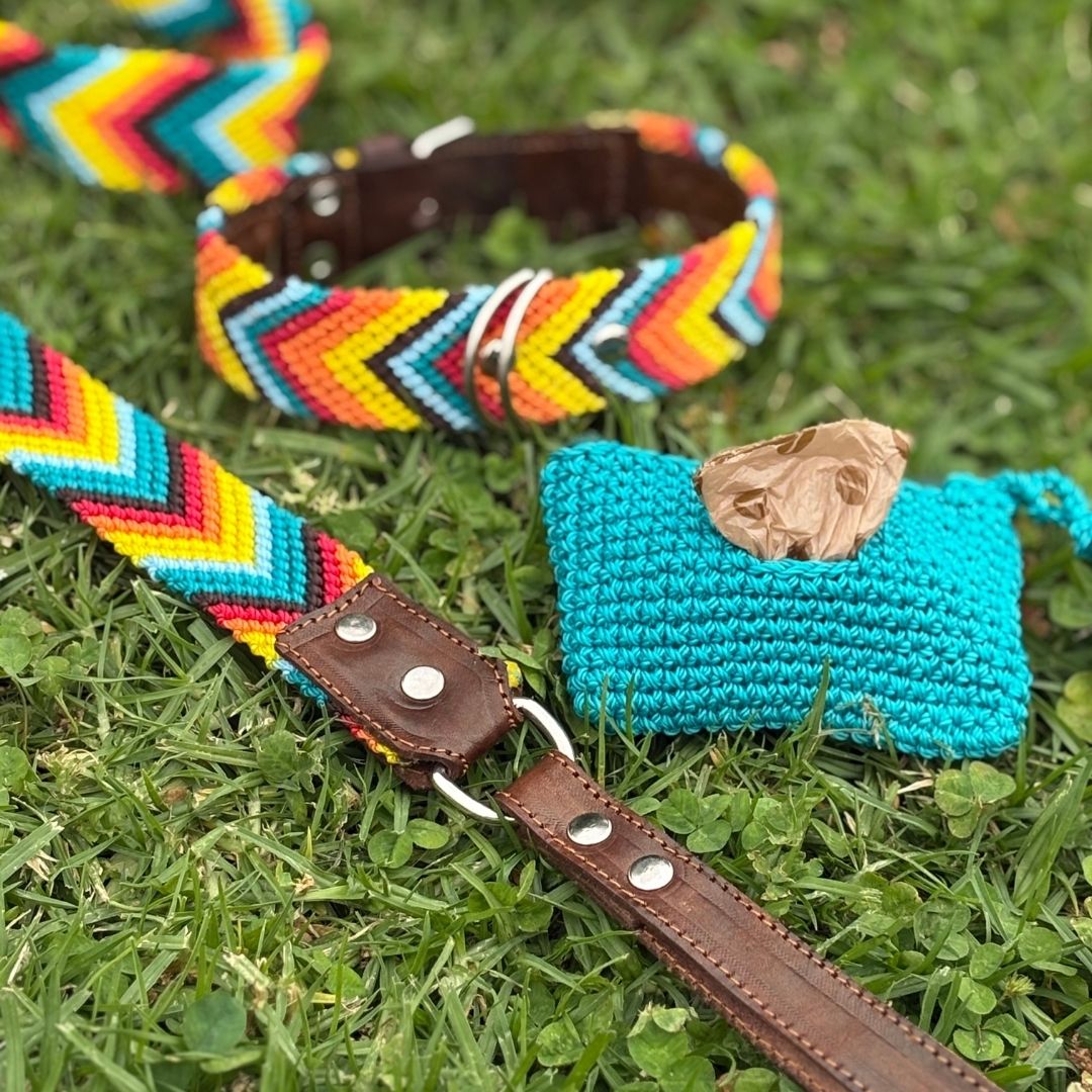 Prisma Intensa Handmade Set of Dog Colar and Leash